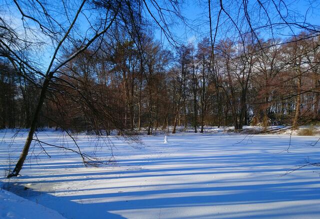 Im Stadtpark Langenhagen steht mitten im Teich ein kleiner Schneemann.