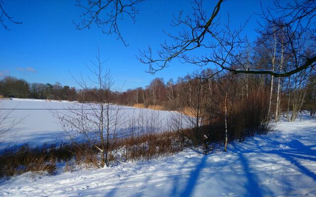 Silbersee