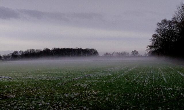 Bodennebel in Langenhagen-Krähenwinkel