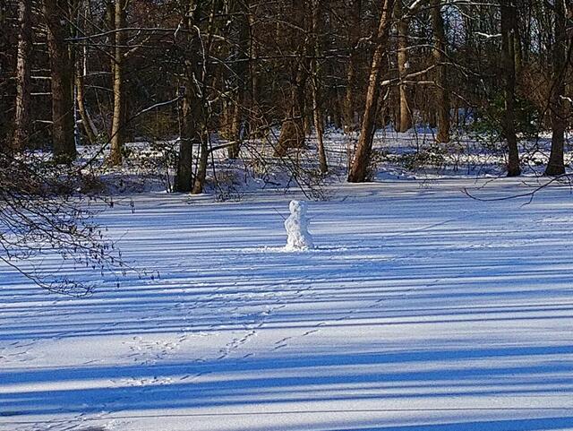 Der Schneemann im Teich