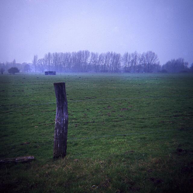 Die Südliche Leineaue in Hannover - aufgenommen mit einer 6x6-Boxkamera.