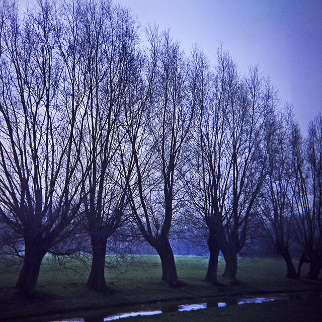 Die Südliche Leineaue in Hannover - aufgenommen mit einer 6x6-Boxkamera.