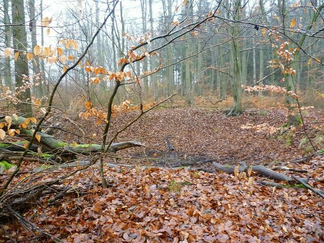 Doppelkrater an der südöstlichen Spitze des Werksgeländes (52.524163985707844, 10.096209191313216). Auf dem Foto ist nur ein Krater zu sehen. Beide Einschläge gehen auf der linken Seite ineinander über.