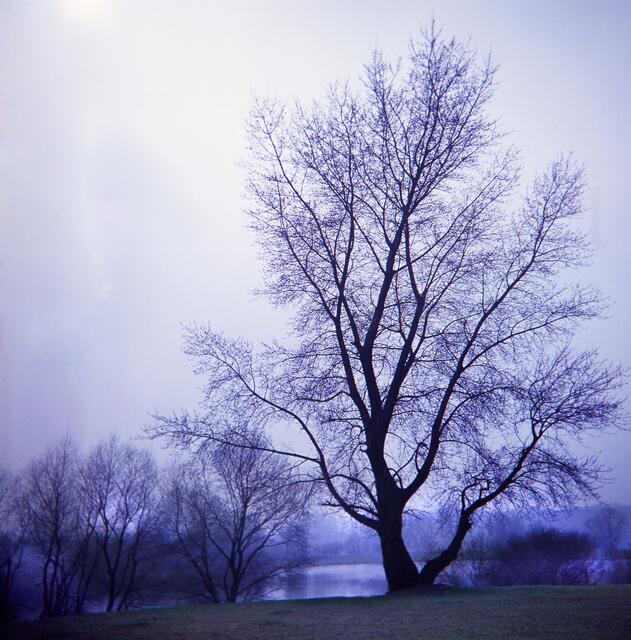 Die Südliche Leineaue in Hannover - aufgenommen mit einer 6x6-Boxkamera.