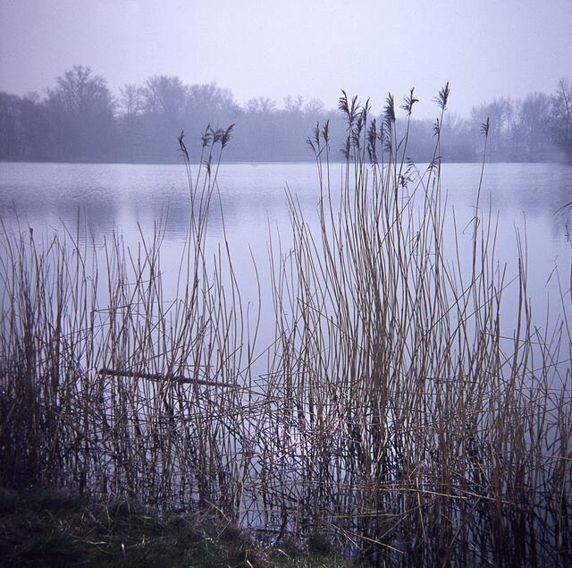 Die Südliche Leineaue in Hannover - aufgenommen mit einer 6x6-Boxkamera.