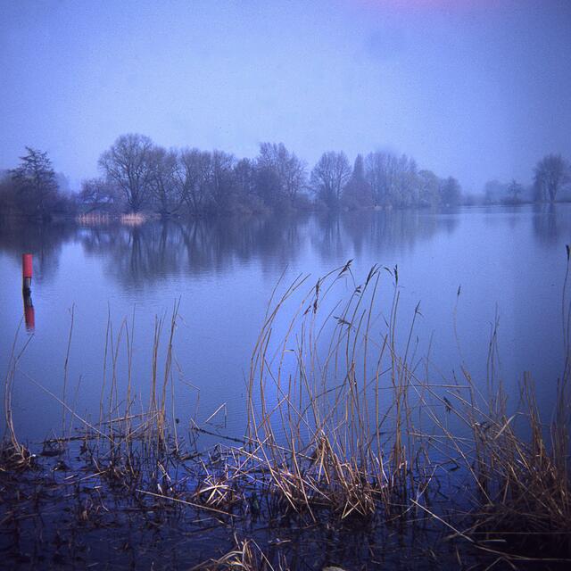 Die Südliche Leineaue in Hannover - aufgenommen mit einer 6x6-Boxkamera.