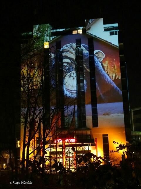 Lichtkunst am Fora-Hotel in Hannover - herzlichen Dank an BeNeR1 (Foto: Katja Woidtke) | Foto: Katja Woidtke