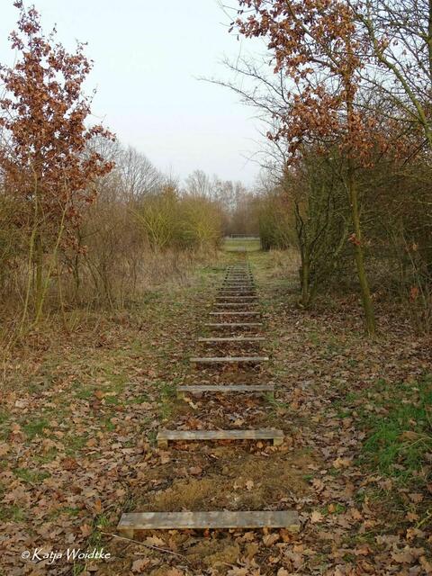 Neue Stege im Wietzepark Langenhagen - die morschen Holzplanken der Stege im Heckenbereich wurden bereits abgebaut (Foto: Katja Woidtke) | Foto: Katja Woidtke
