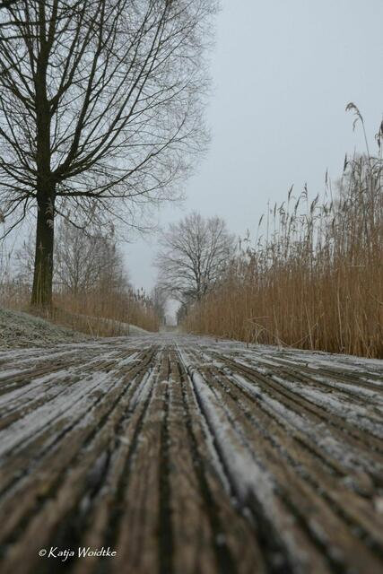 Holzsteg im winterlichen Wietzepark (Foto: Archiv Katja Woidtke 2017) | Foto: Katja Woidtke