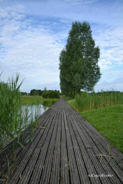 Holzsteg am Gewässer im Wietzepark Langenhagen (Foto: Archiv Katja Woidtke 2012) | Foto: Katja Woidtke