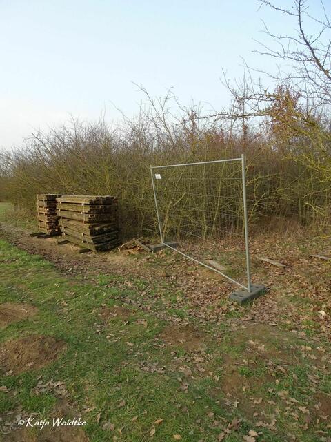 Neue Stege im Wietzepark Langenhagen - die morschen Holzplanken der Stege im Heckenbereich wurden bereits abgebaut (Foto: Katja Woidtke) | Foto: Katja Woidtke