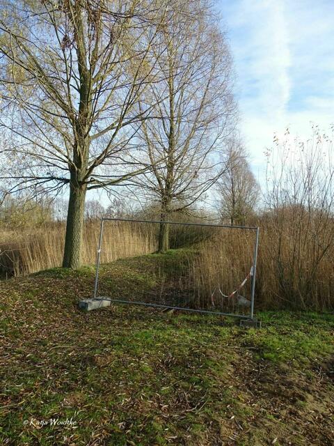 Abgesperrter Holzsteg am Gewässer im Wietzepark Langenhagen (Foto: Archiv Katja Woidtke 2020) | Foto: Katja Woidtke