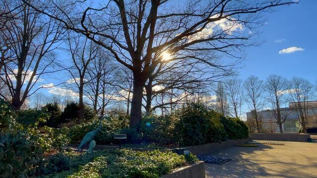 5. März 2021. Stadtpark Hannover. Bleibt gesund!