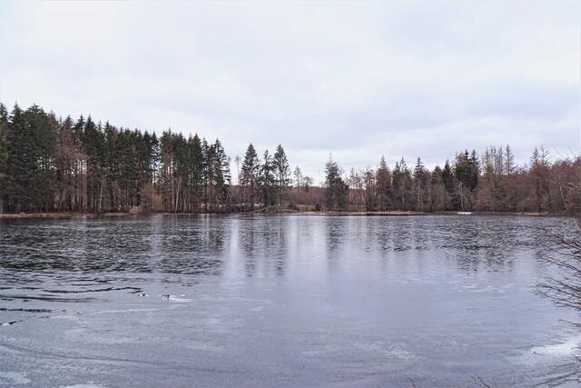 noch ist Winter am Ochsensumpfteich (Peterstichel). Im Sommer ist es ein Geheimtipp für FKK Freunde
