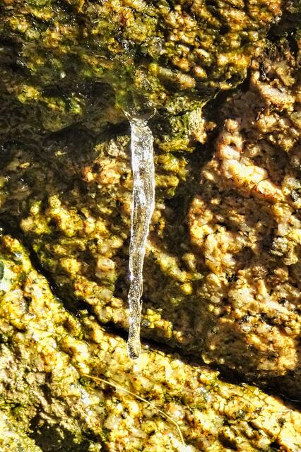 scheinbar aus dem Felsen kommt dieser Eiszapfen am Pionierstieg