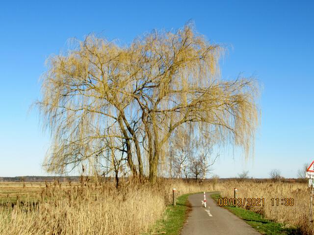 Weg zum Naturschutzgebiet