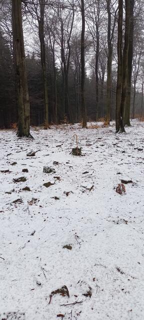 Im Winter 2021 auf dem kleinen Brink Deister | Foto: Labyrinth Wennigsen