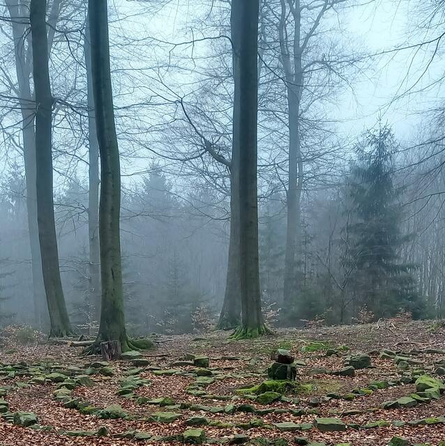Nebel auf dem kleinen Brink Deister | Foto: Labyrinth Wennigsen