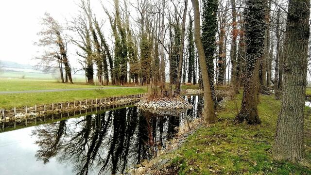 Im Gutspark in Großjena blühen die Märzenbecher und Schneeglöckchen / 10.3.2021 !