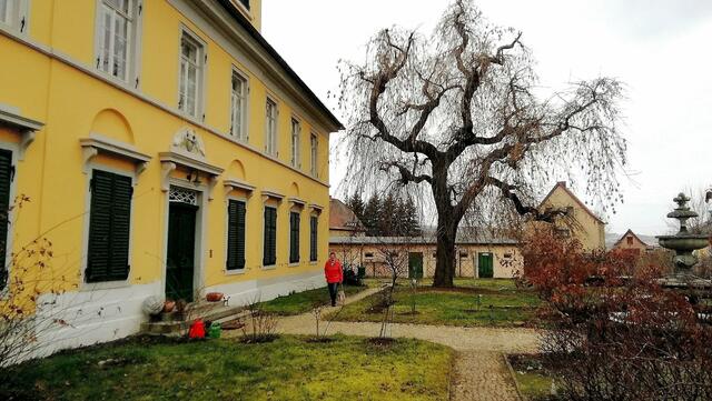Das Rittergut oder auch Gutshaus von Großjena am 10.3.2021 !