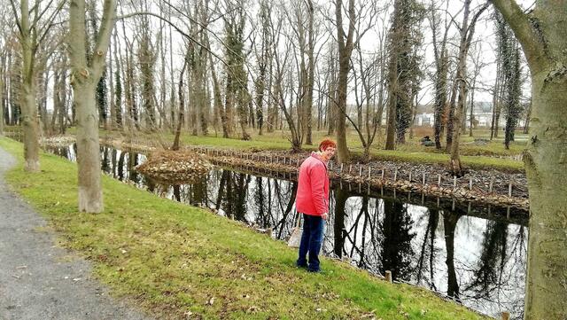Im Gutspark in Großjena blühen die Märzenbecher und Schneeglöckchen / 10.3.2021 !