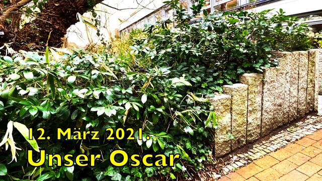 12. März 2021. Spaziergang in unserem Park. Bleibt gesund!