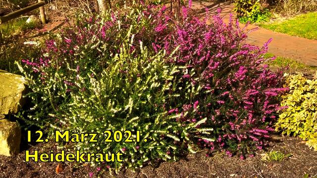 12. März 2021. Spaziergang in unserem Park. Bleibt gesund!