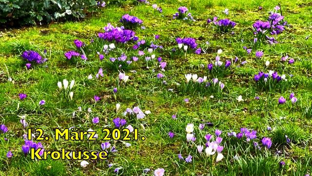 12. März 2021. Spaziergang in unserem Park. Bleibt gesund!