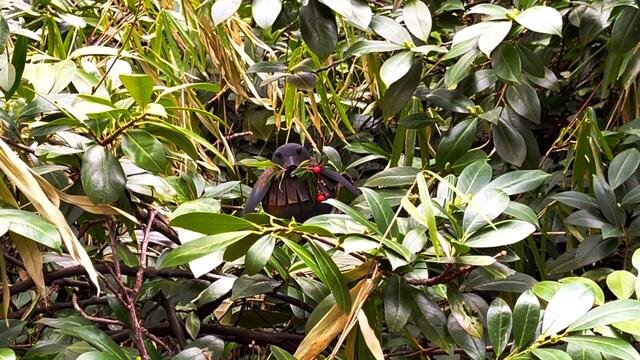 12. März 2021. Spaziergang in unserem Park. Bleibt gesund!