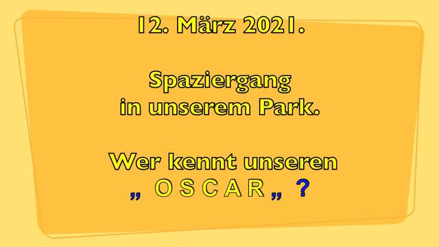 12. März 2021. Spaziergang in unserem Park.  Wer kennt unseren OSCAR?