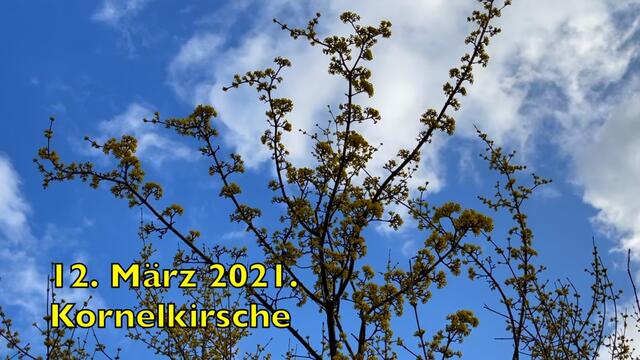 12. März 2021. Spaziergang in unserem Park. Bleibt gesund!