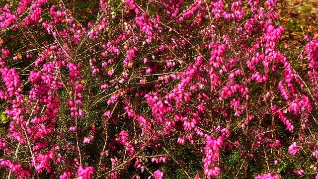 12. März 2021. Spaziergang in unserem Park. Bleibt gesund!