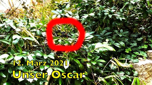 12. März 2021. Spaziergang in unserem Park. Bleibt gesund!