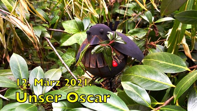12. März 2021. Spaziergang in unserem Park.  Wer kennt unseren OSCAR?