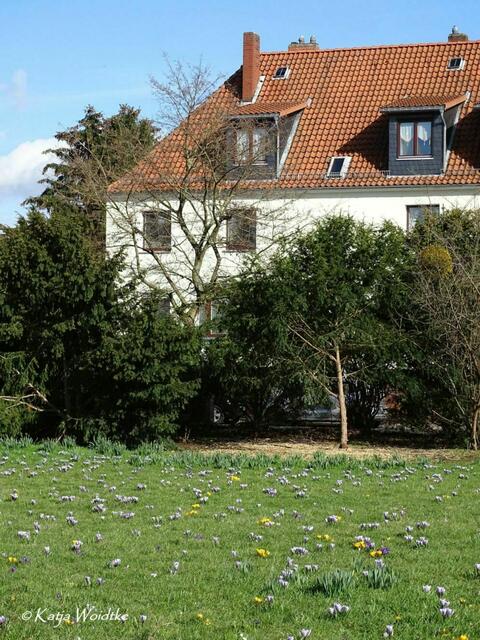 Frühlingserwachen in Hannover (Foto: Katja Woidtke) | Foto: Katja Woidtke