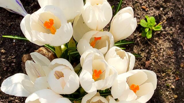 12. März 2021. Spaziergang in unserem Park. Bleibt gesund!