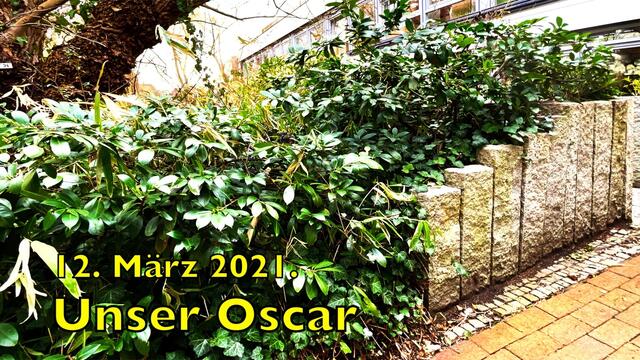 12. März 2021. Spaziergang in unserem Park.  Wer kennt unseren OSCAR?
