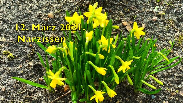 12. März 2021. Spaziergang in unserem Park. Bleibt gesund!
