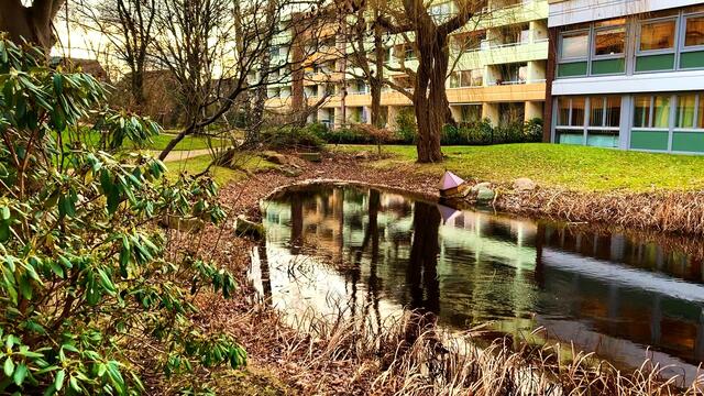 22. Januar 2021. Ein Spaziergang durch unseren schönen Park. Bleibt gesund!