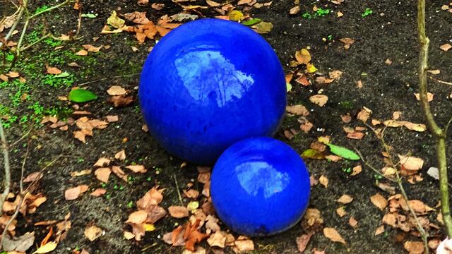 22. Januar 2021. Ein Spaziergang durch unseren schönen Park. Bleibt gesund!