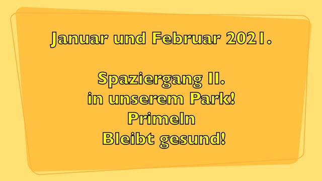 Januar und Februar 2021.  Spaziergang II. in unserem Park! Bleibt gesund!.