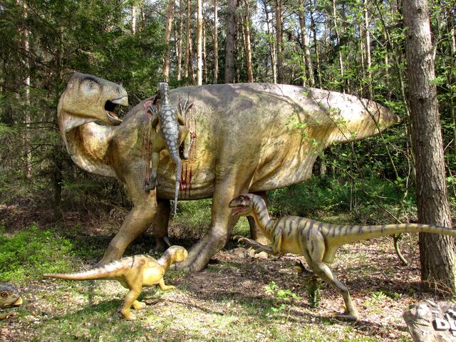 Wo es diese Pflanzenfresser gab, da waren auch die Fleischfresser nicht weit, die Raptoren, die in Rudeln auf Jagd gingen.
