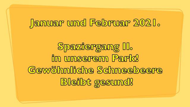 Januar und Februar 2021.  Spaziergang II. in unserem Park! Bleibt gesund!.