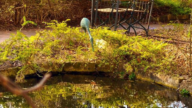 24. März 2021. Am kleinen Teich in unserem Park. Bleibt gesund!