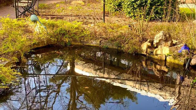 24. März 2021. Am kleinen Teich in unserem Park. Bleibt gesund!