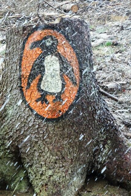 der Schnee passt zum Pinguin am Baumstumpf