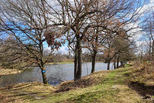 Wanderweg am Gondelteich