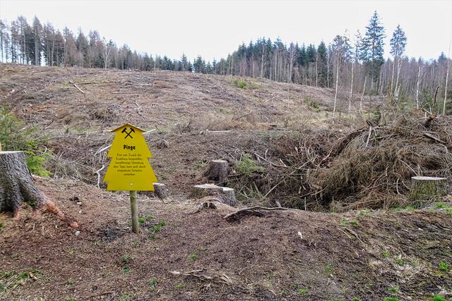 die Mulde stellt eine Pinge dar. Auch die, durch den Bergbau verursachten, Einstürze(Tagesbrüche) nennt man Pingen. Bekannt dafür ist die 130 m tiefe und 12 ha große zum UNESCO Welterbe gehörende Altenberger Pinge(Zinnabbau)