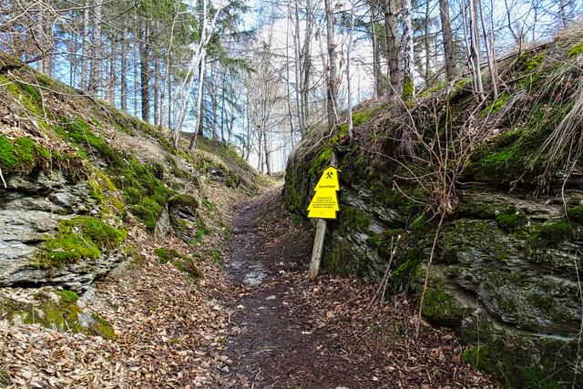 Ein Hohlweg durch die Menschentrappe. Für den Verkauf auf dem Quedlinburger Markt mussten die Harzer Butterfrauen über 25 km mit der schweren Kiepe laufen!!!