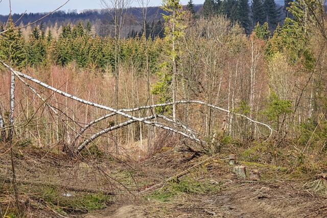 der Bergbaurundwanderweg